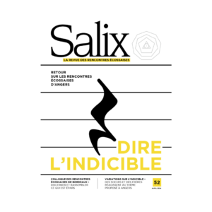 Salix 052 - Numéro Papier